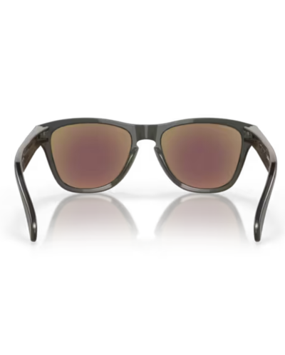 Frogskins xxs 900902 Grey smoke